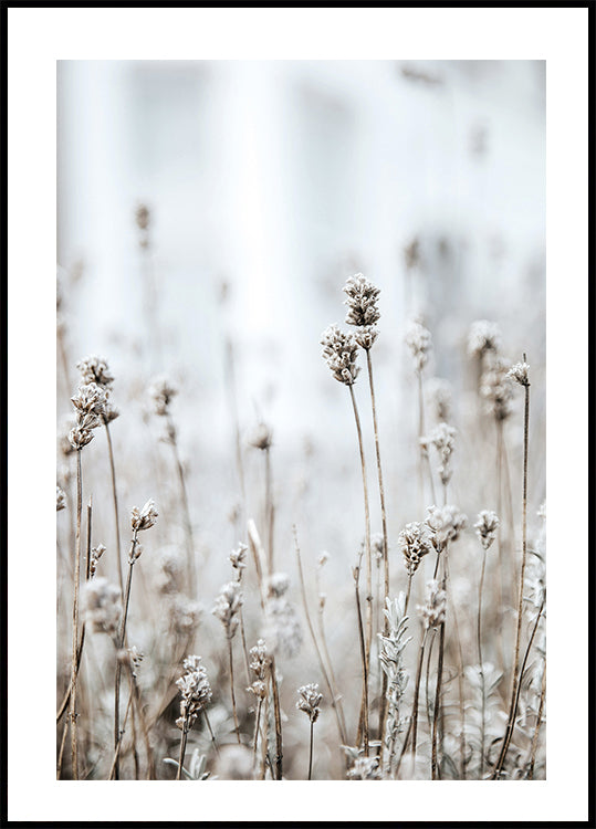In The Wild Poster - Posterbox.dk