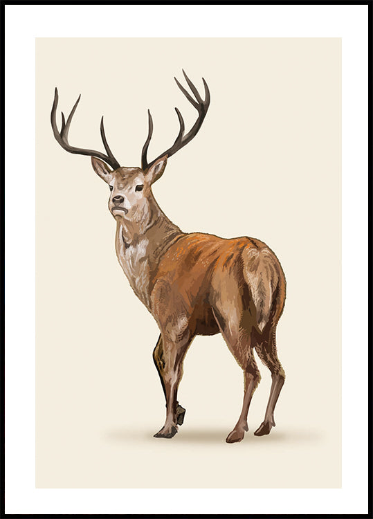Brown Deer Poster - Posterbox.dk