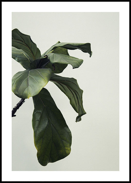 Botanical Leaves Poster - Posterbox.dk