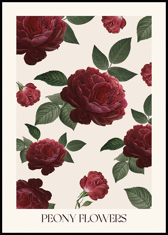 Peony Flowers Poster - Posterbox.dk