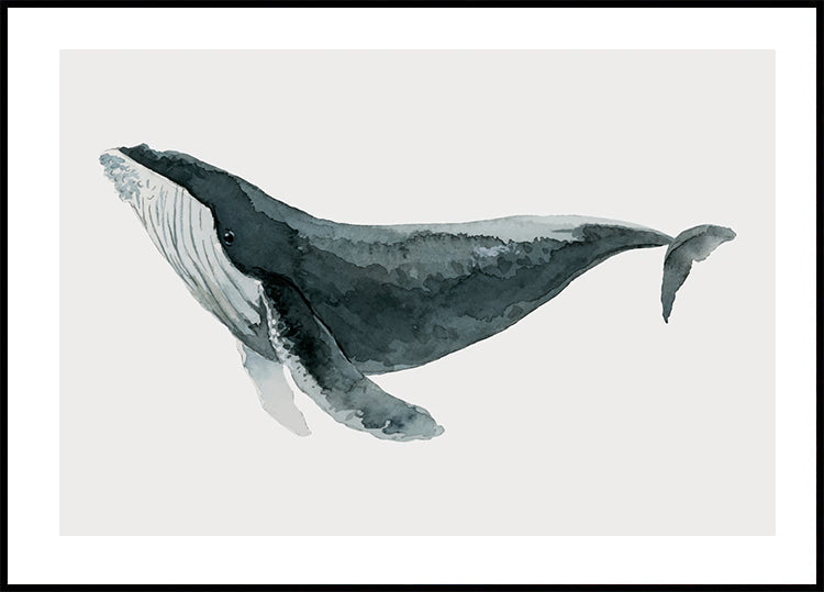 Watercolor Whale Poster - Posterbox.dk