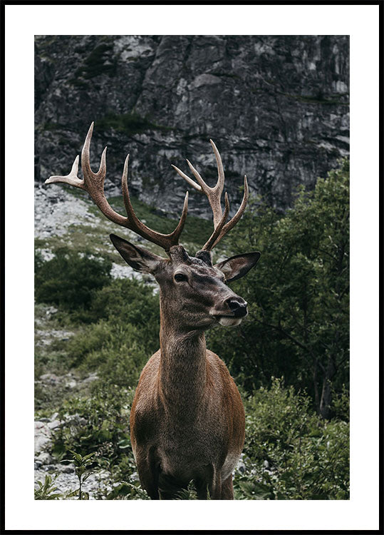 Deer and Mountains Poster - Posterbox.dk