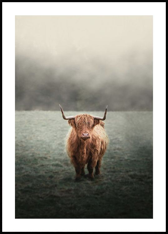 Yak in The Field Poster - Posterbox.dk