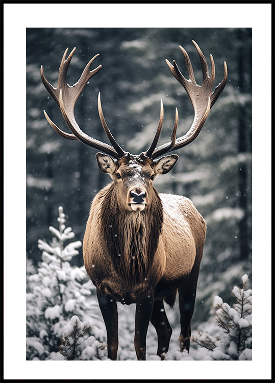 Stag In Forest Poster - Posterbox.dk