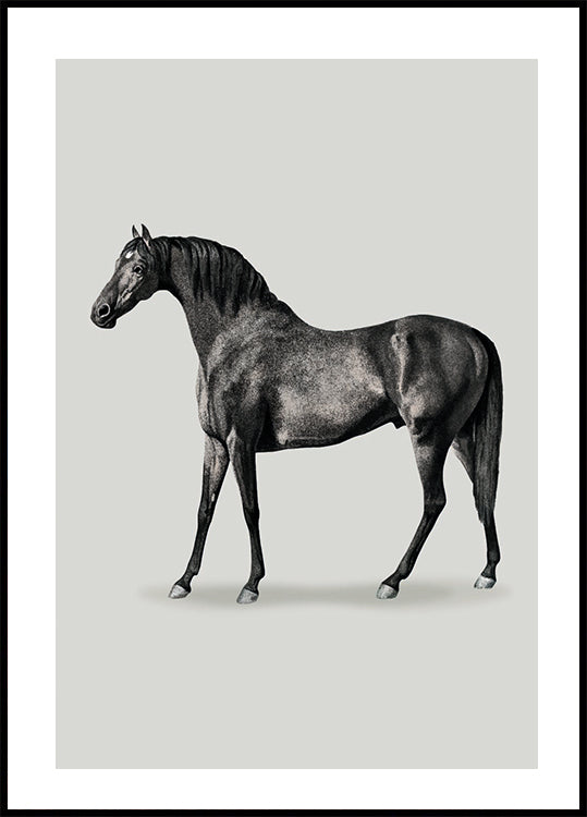 Black Horse Gate. Drawing Poster - Posterbox.dk
