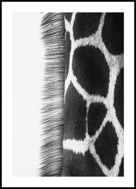 Giraffe Neck Poster - Posterbox.dk
