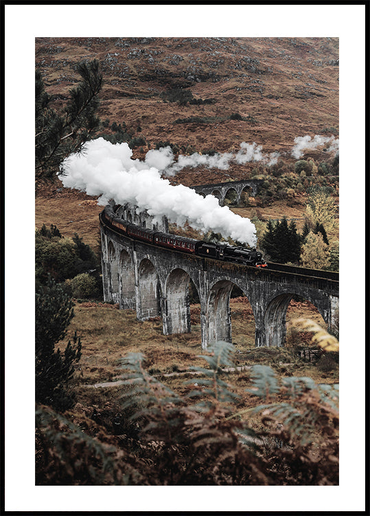 Steam Train Poster - Posterbox.dk
