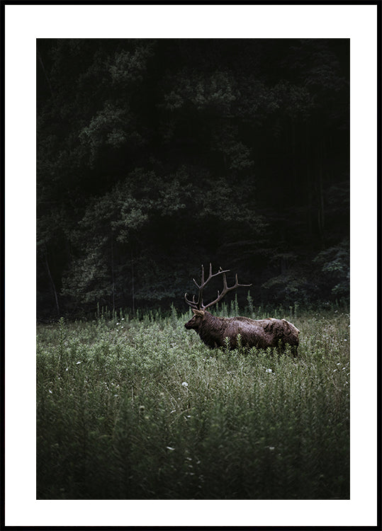 Deer in Nature Poster - Posterbox.dk