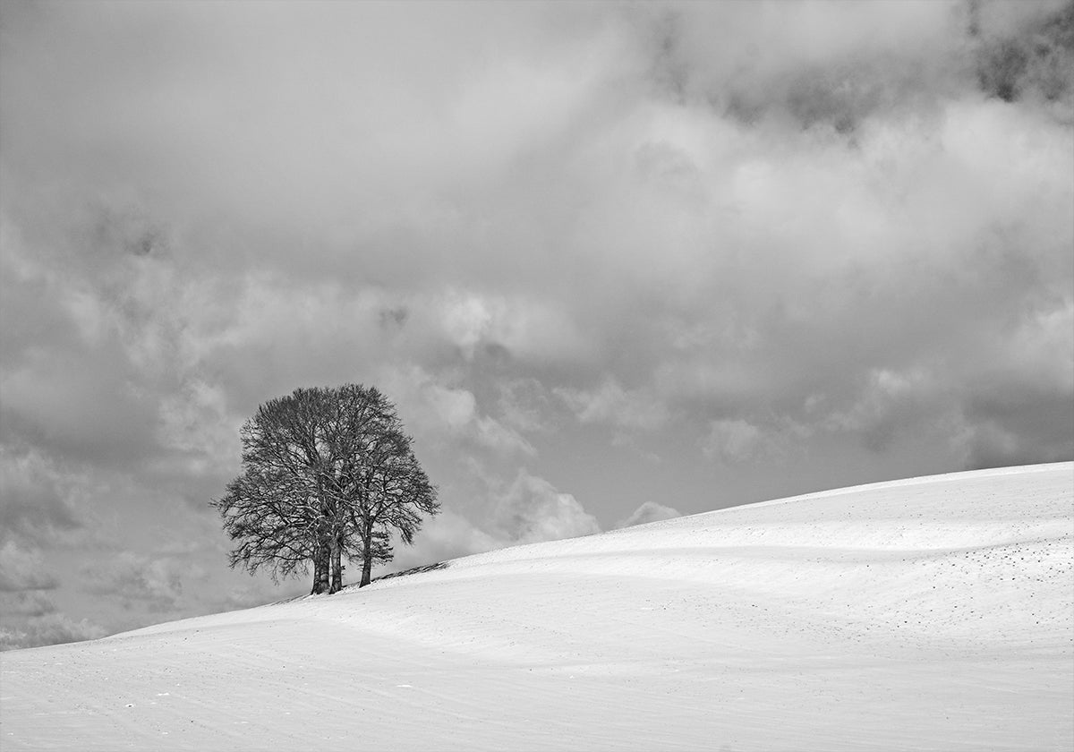 A cloudy winter day Plakat - Posterbox