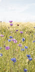 All the Wildflowers (NEW) - Posterbox