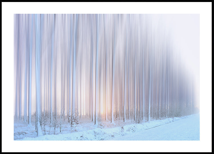 a curtain of trees Plakat - Posterbox