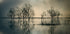 Lake's Secret - Posterbox
