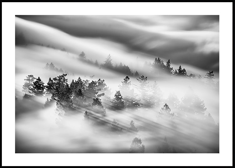 Whispers Through the Mist Plakat - Posterbox