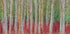 Birch forest (NEW) - Posterbox
