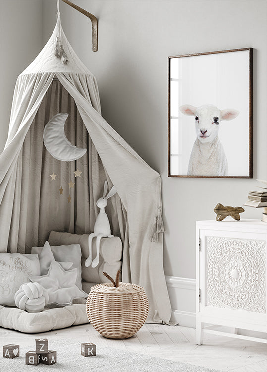 Baby Lamb - Posterbox