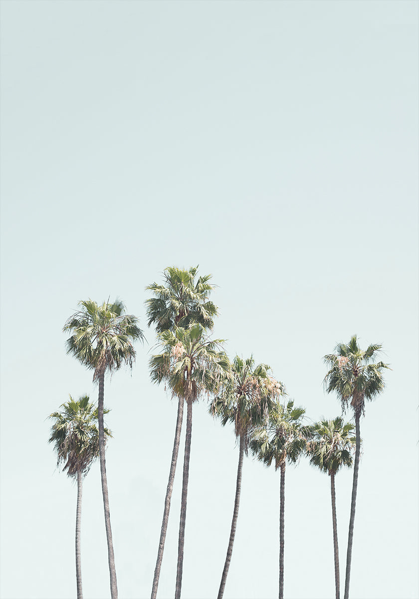 Blue Palm Trees Plakat - Posterbox