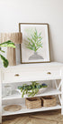 Painted Olive Branch Still Life Plakat - Posterbox