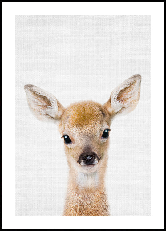 Peekaboo Baby Deer Plakat - Posterbox