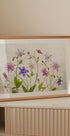 Columbine Plakat - Posterbox