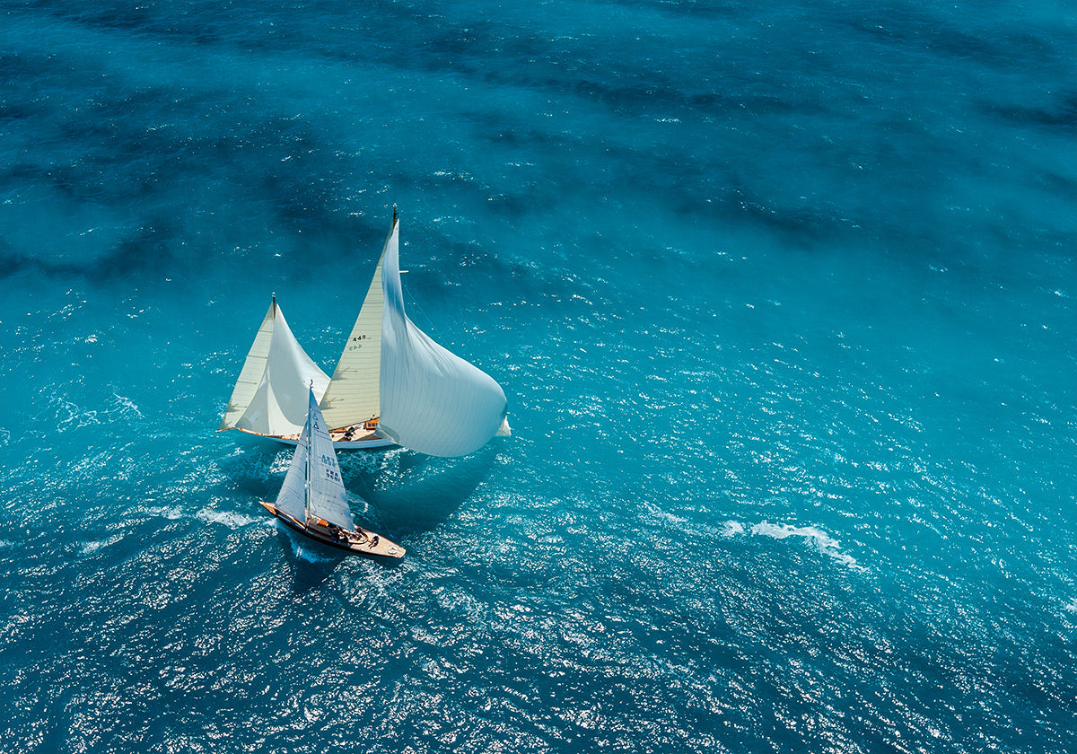 Croisement bleu - Posterbox
