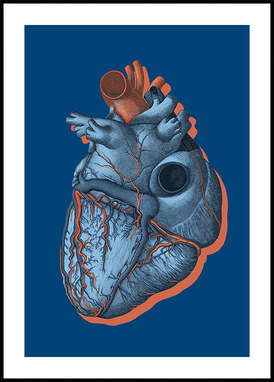 It Is Called a Heart (NEW) - Posterbox