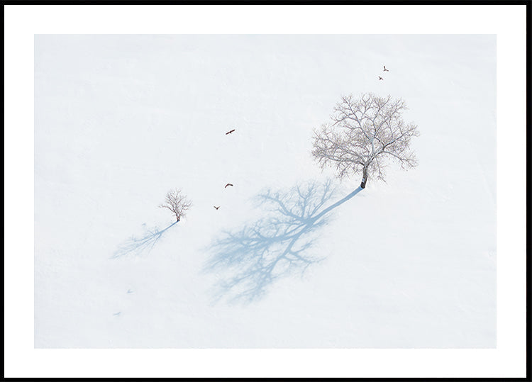 Shadows of Trees and Birds Plakat - Posterbox