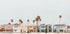 Colorful Beachfront with Palm Trees Plakat - Posterbox