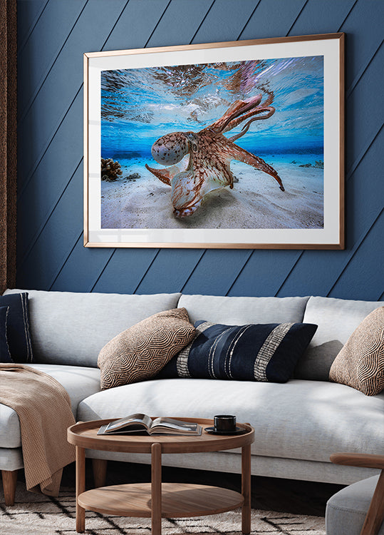 Dancing Octopus Poster