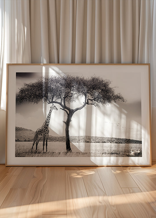 under the African sun Poster