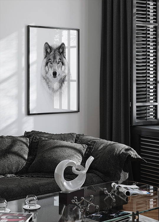 Portrait of a Timber Wolf Poster