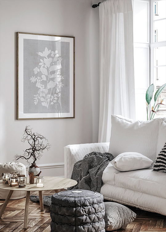 Botanical Illustration 2 Poster