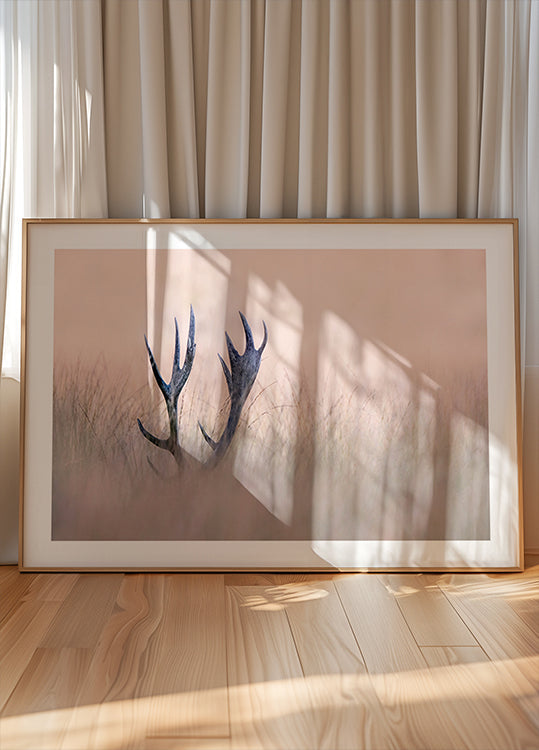 Hide & Seek (Horn of Stag)