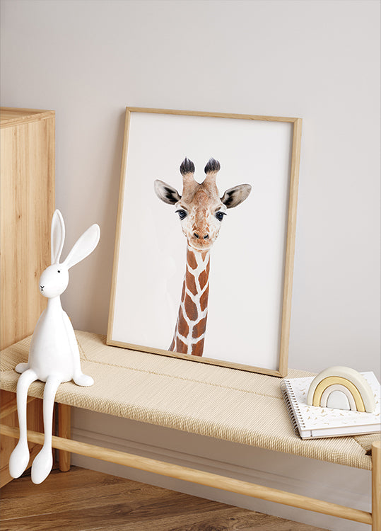 Baby Giraffe Poster