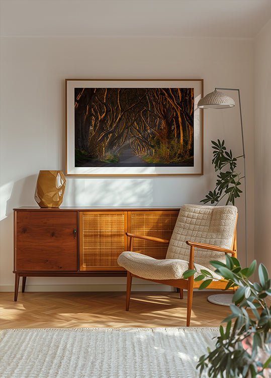 The Dark Hedges in the Morning Sunshine
