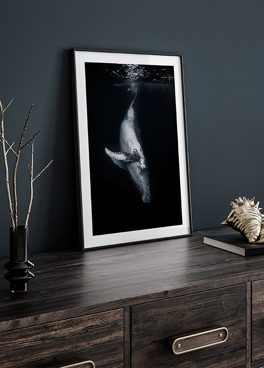Black Whale Poster