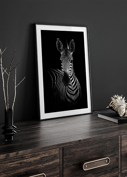 The Zebra Poster