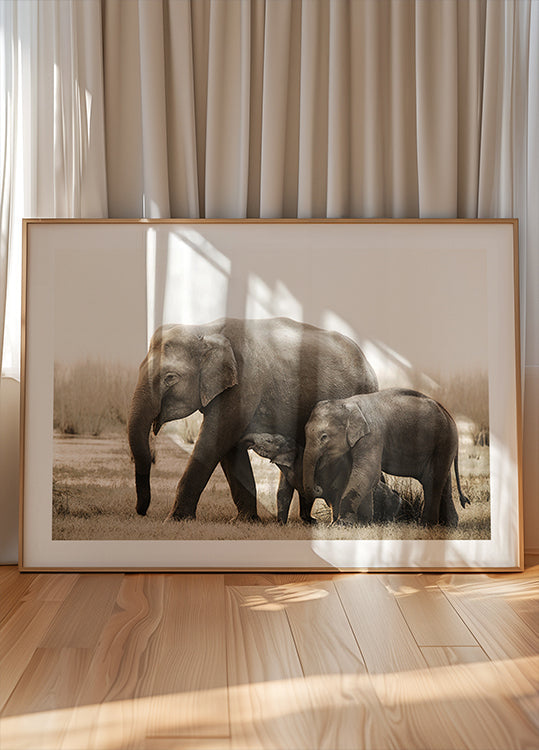 family portrait Poster