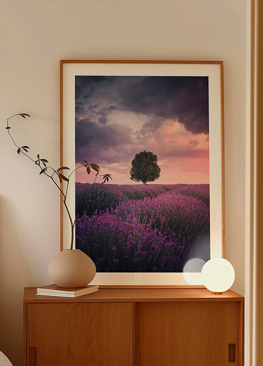 Lavender Fields, Isparta Poster