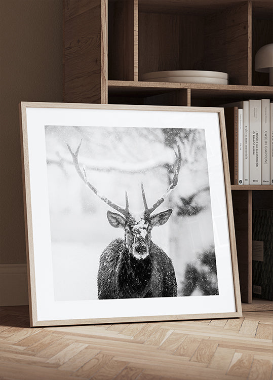 Male deer in heavy snow Posters