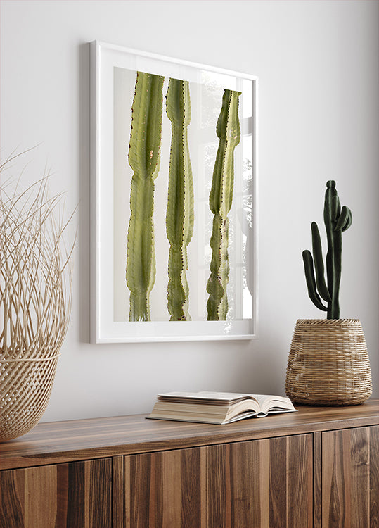 3 Cacti (NEW) - Posterbox