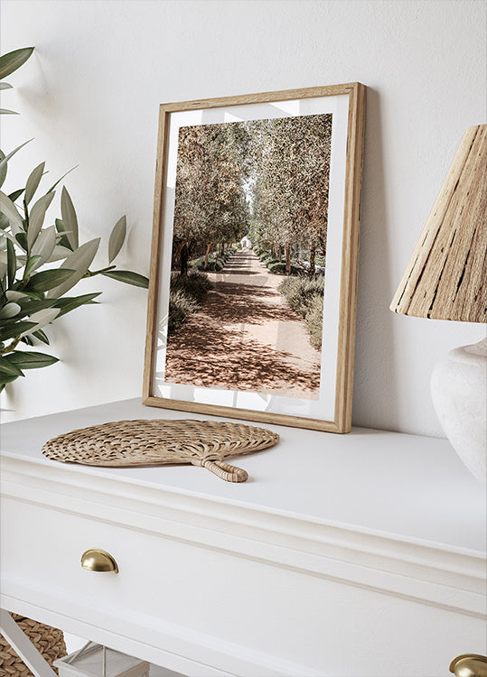 A Serene Tree Lined Path with Sunlight Poster