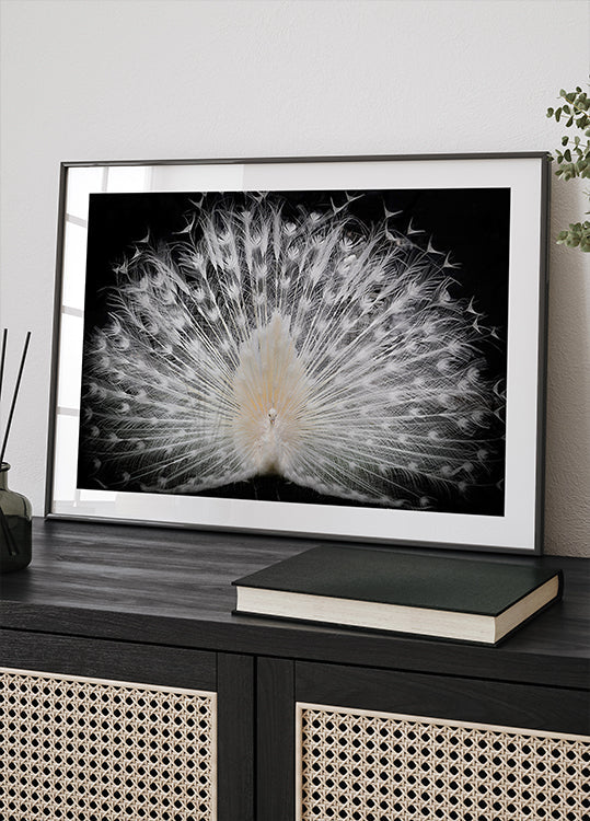 black and white, Poster