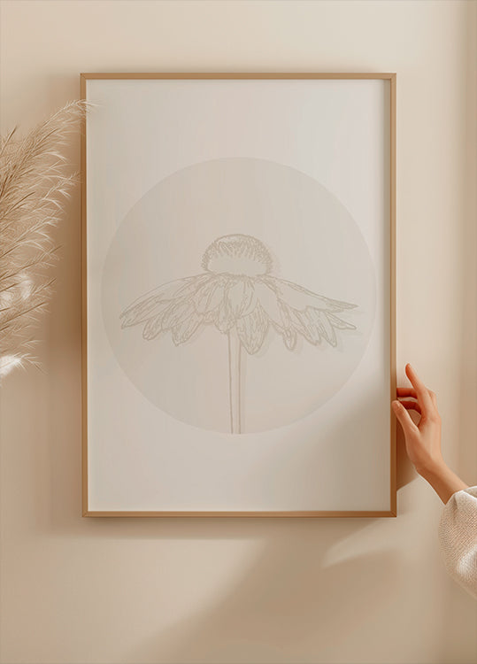 Gaillardia Bloom, Botanical Line Art Poster