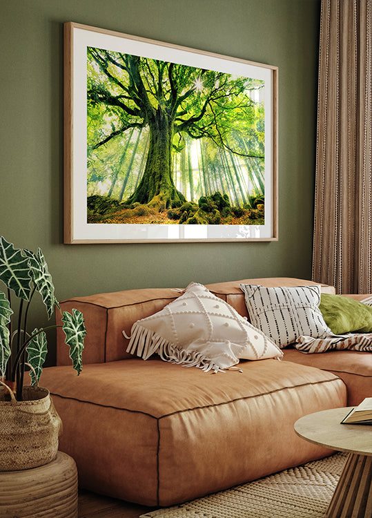 Ponthus' Beech Poster