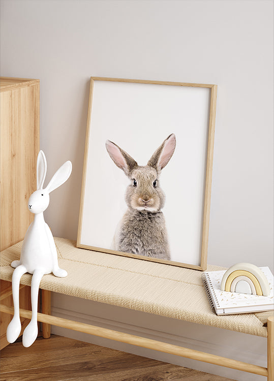 Baby Rabbit Poster