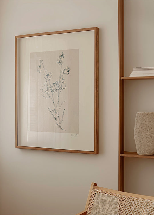 Bellflowers ink drawing Poster