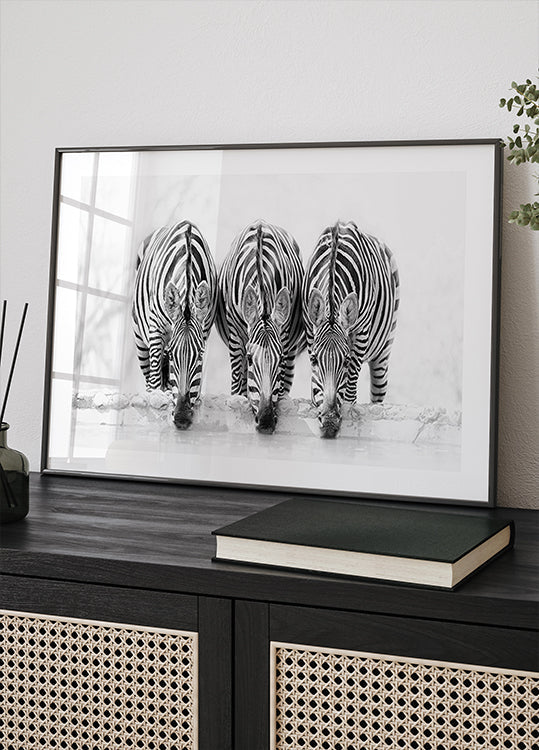 Zebra's Poster