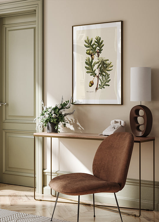 Botany Quercus Pyrenaica Poster