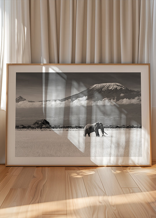 Lost Colors II Poster