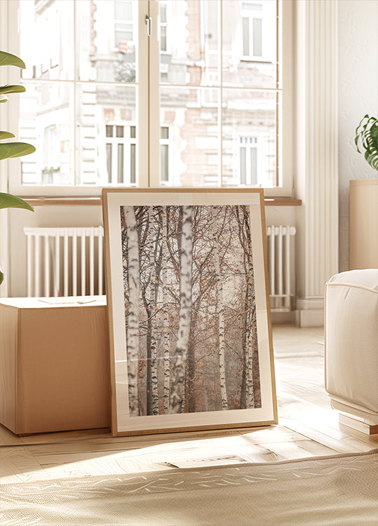 Birch Trees 6 Poster